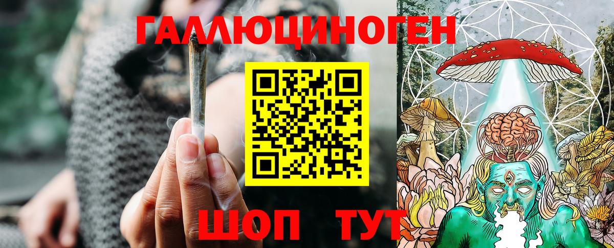 Гудермес  наркота  Вход с VPN  Псилоцибиновые грибы мицелий 